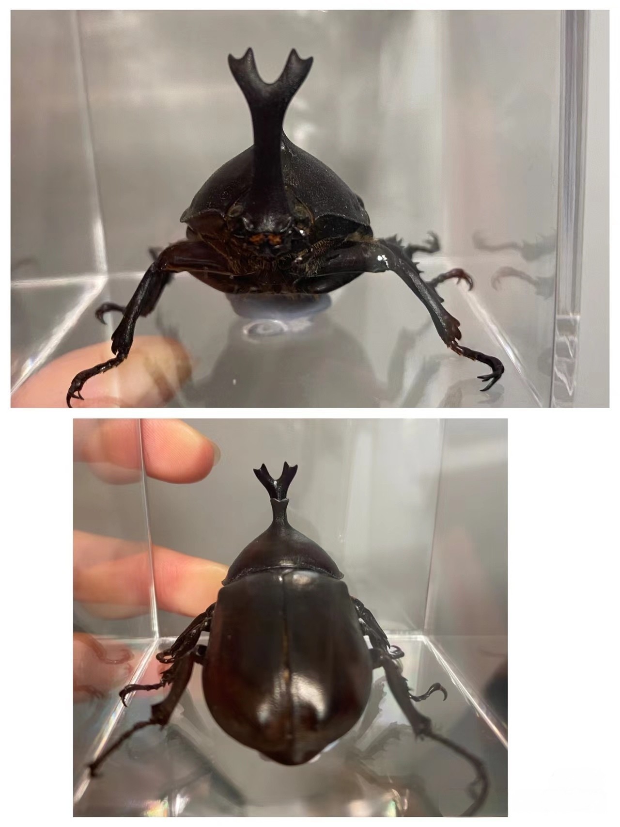 低價出喜歡的私