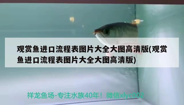 永州市冷水灘小芳花藝店 永州市冷水灘小芳花藝店 全國水族館企業名錄 第2張