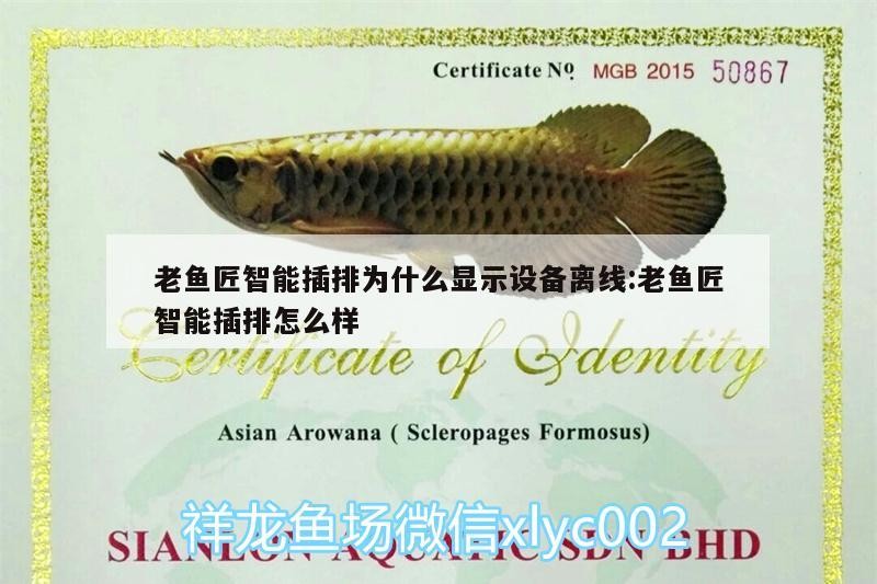 老魚匠智能插排為什么顯示設備離線:老魚匠智能插排怎么樣