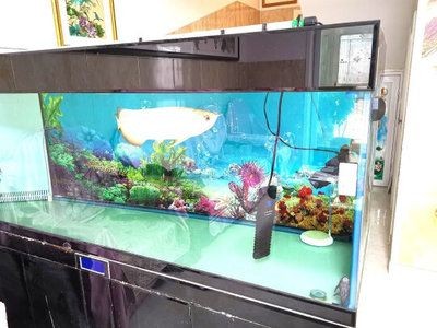 2米長魚缸物流費(fèi)用大概是多少：2米長的魚缸物流費(fèi)用將會(huì)受到多種因素影響