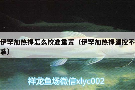 伊罕加熱棒怎么校準重置（伊罕加熱棒溫控不準） 伊罕加熱棒怎么校準重置（伊罕加熱棒溫控不準） 伊罕水族