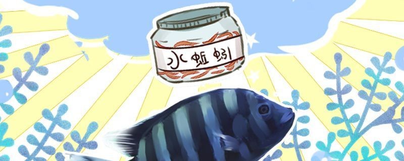 客廳柜子的10大忌，避免這些錯誤讓家更美觀實用