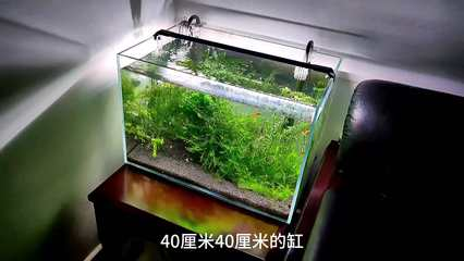 客廳放衣柜的正確方法，實用與美觀的完美結合