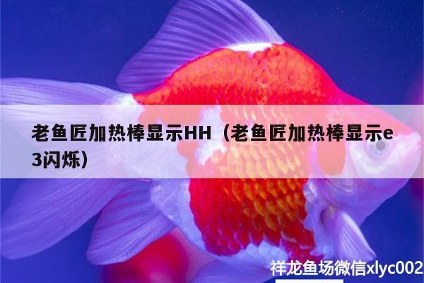 老魚匠加熱棒顯示HH（老魚匠加熱棒顯示e3閃爍） 老魚匠加熱棒顯示HH（老魚匠加熱棒顯示e3閃爍） 老魚匠