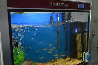 80魚缸養熱帶魚費不費電：養熱帶魚的耗電量主要取決于以下幾個因素的不同而有所差異