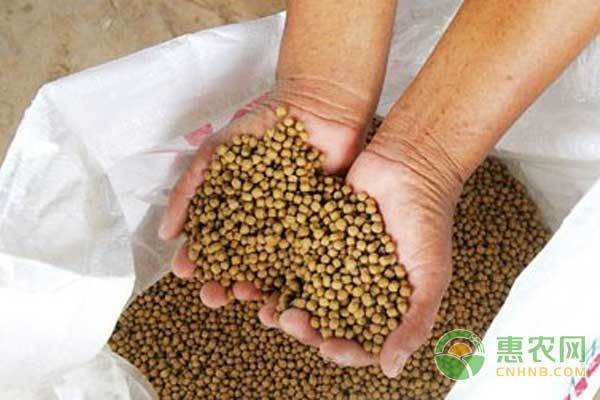 客廳擺件裝飾品什么最吉利？提升家居風水的吉祥擺件推薦