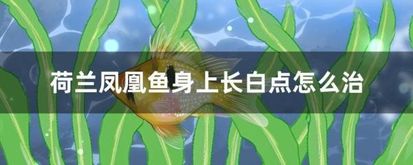 看見天空有龍的人征兆，神話、象征與心靈啟示