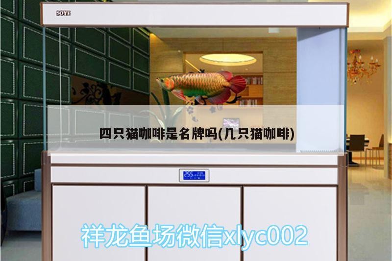 魚(yú)缸用增氧泵價(jià)格是多少:魚(yú)缸增氧機(jī)-xtrac增氧機(jī)-xtrac增氧機(jī) 四只貓咖啡是名牌嗎(幾只貓咖啡) 馬來(lái)西亞咖啡 四只貓咖啡是名牌嗎(幾只貓咖啡) 四只貓咖啡是名牌嗎(幾只貓咖啡) 馬來(lái)西亞咖啡