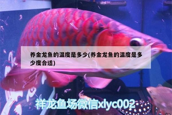聚寶盆臥室的最佳方位，打造招財納福的風水布局