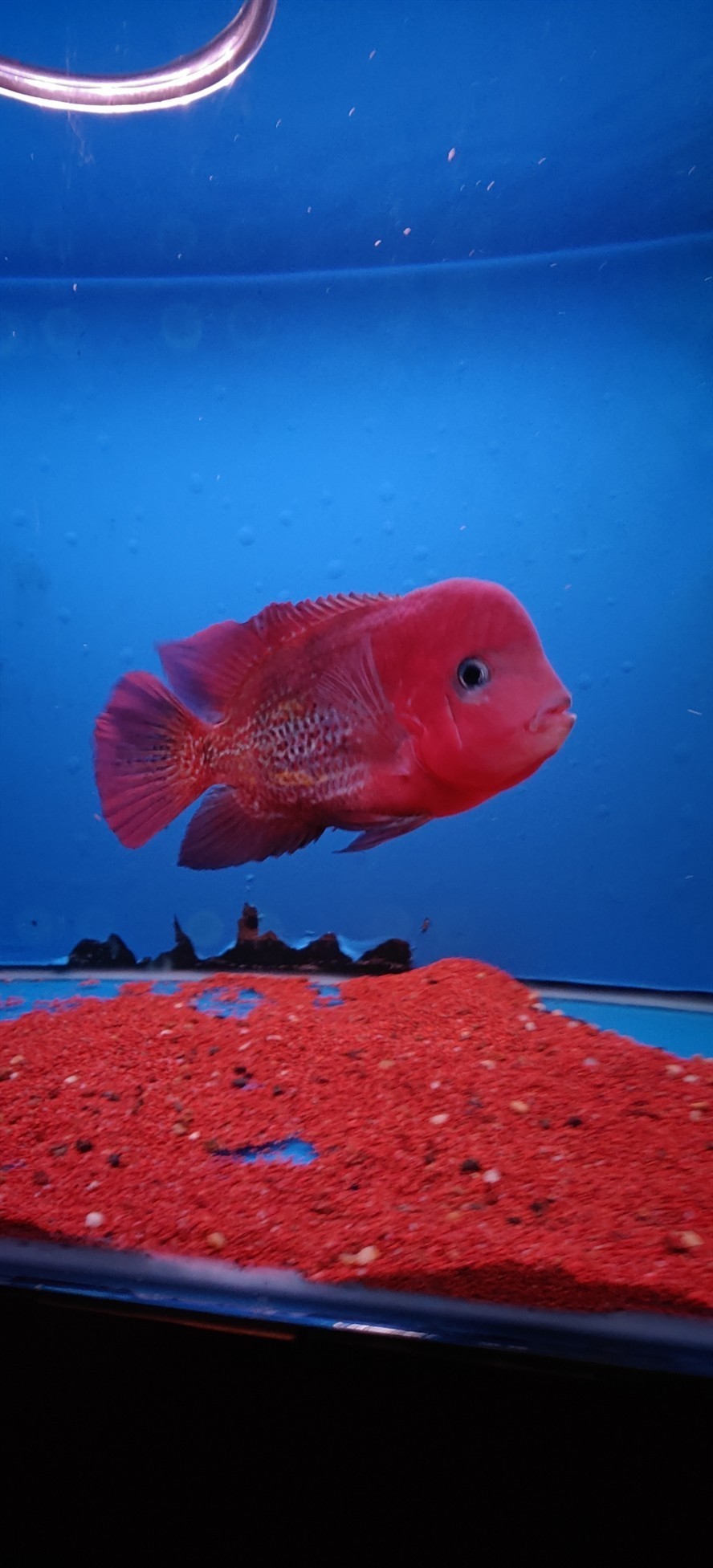 出魚看中聯系