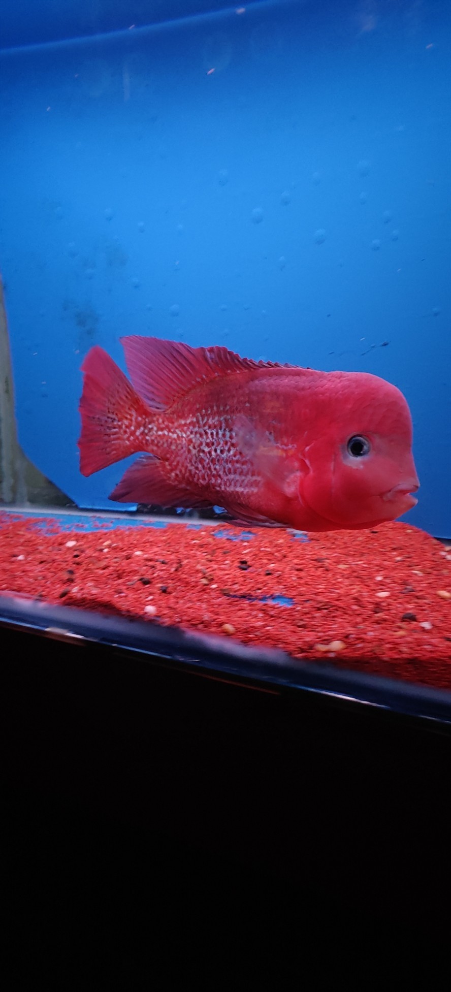 出魚看中聯系