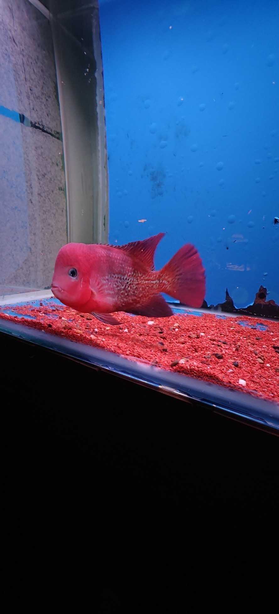 出魚看中聯系