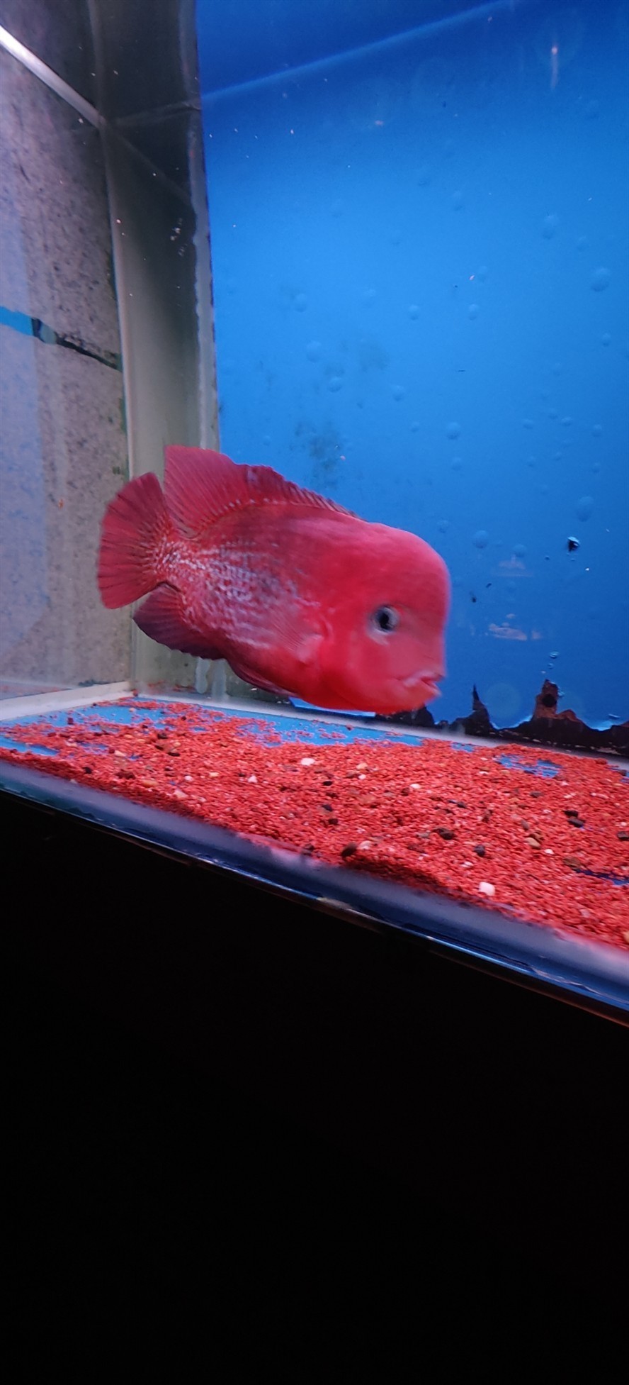 出魚看中聯系