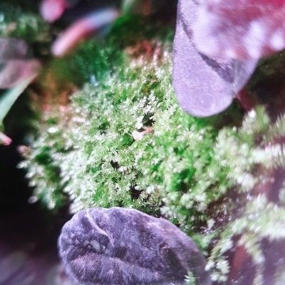 創寧水族用品有限公司官網:關于創寧水族用品有限公司的信息 創寧水族 第3張 創寧水族用品有限公司官網:關于創寧水族用品有限公司的信息 創寧水族用品有限公司官網:關于創寧水族用品有限公司的信息 創寧水族 第3張