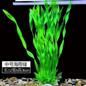 36厘米魚缸造景圖片及價格：36厘米魚缸造景價格是多少？