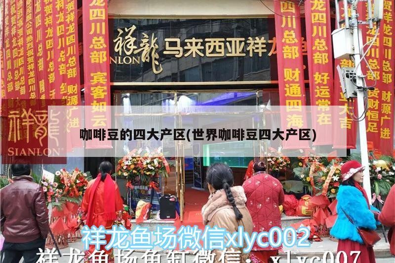 咖啡豆的四大產區(世界咖啡豆四大產區)