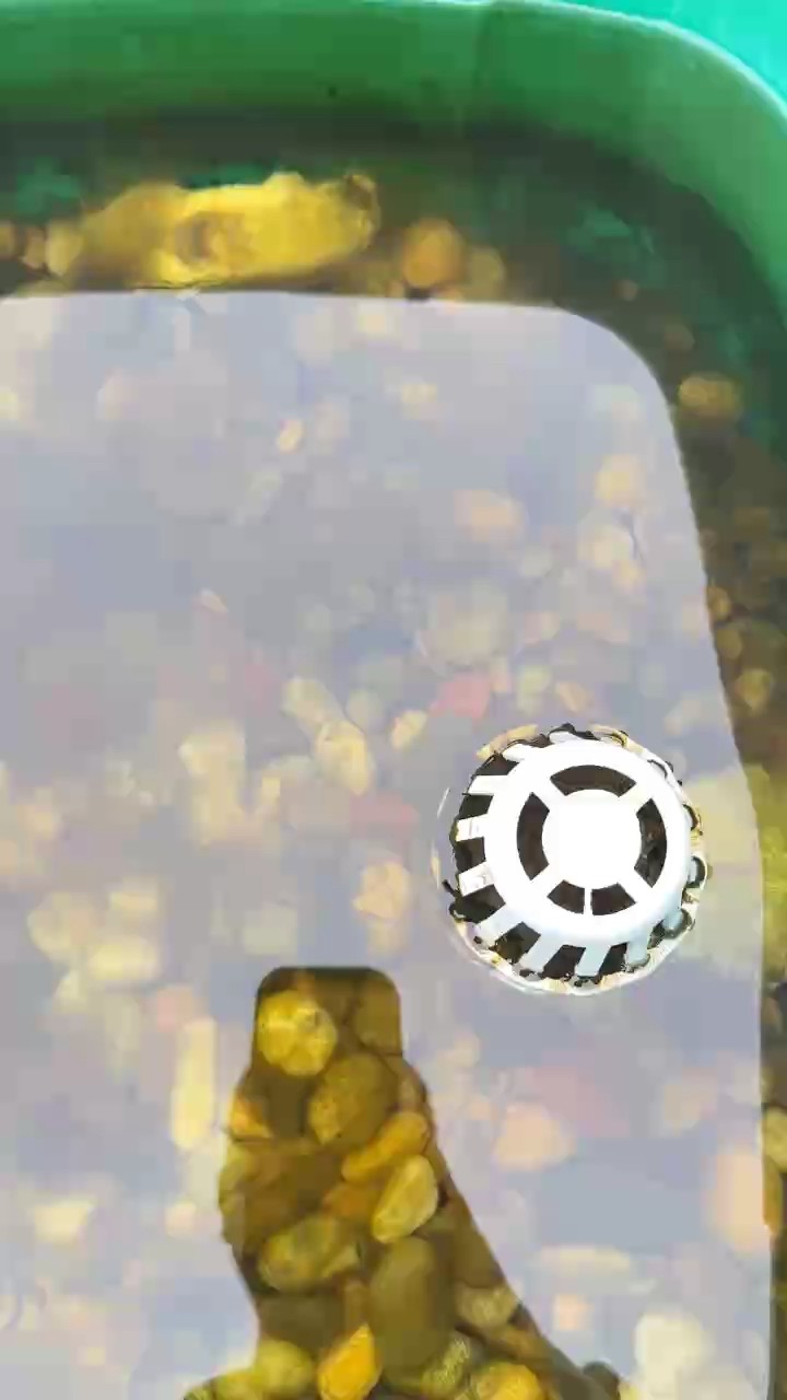 求助……