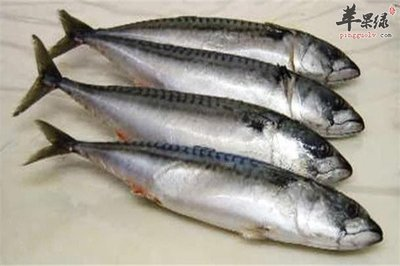九魚圖魚頭朝下的寓意解析，從風水到文化的多維解讀