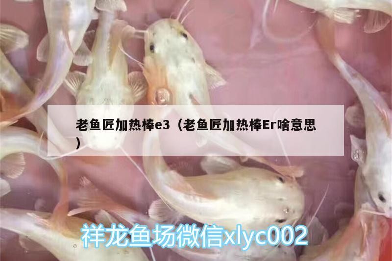 老魚匠加熱棒e3（老魚匠加熱棒Er啥意思）