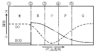 九魚圖的魚幾種顏色好？傳統寓意與現代審美的完美融合
