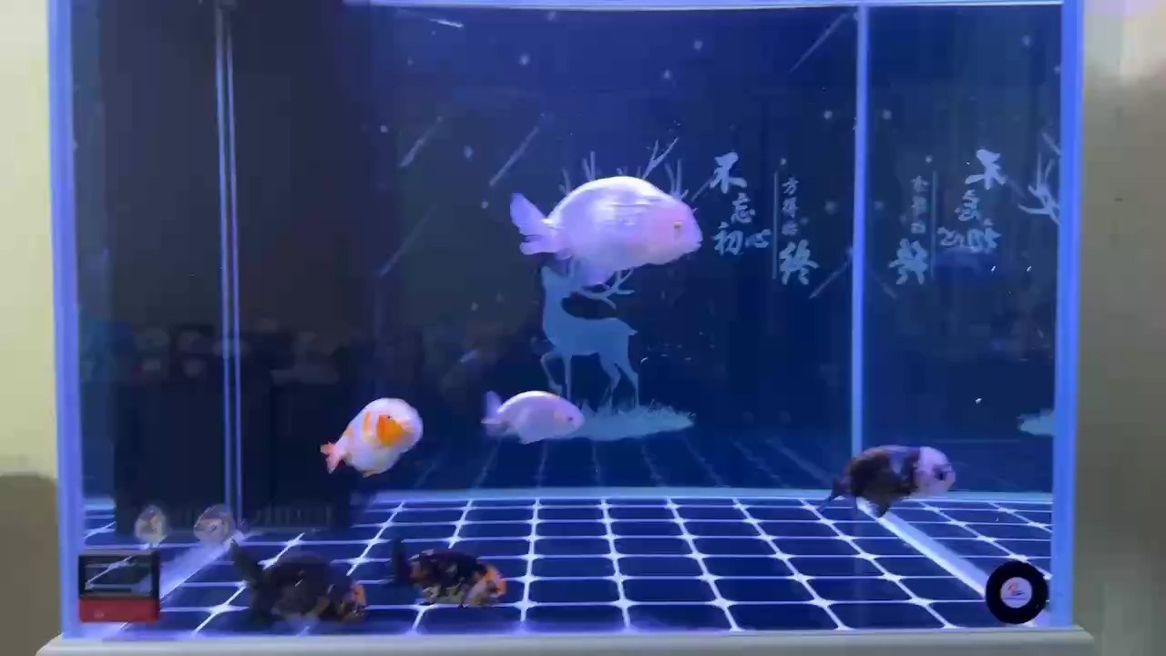 太開心
