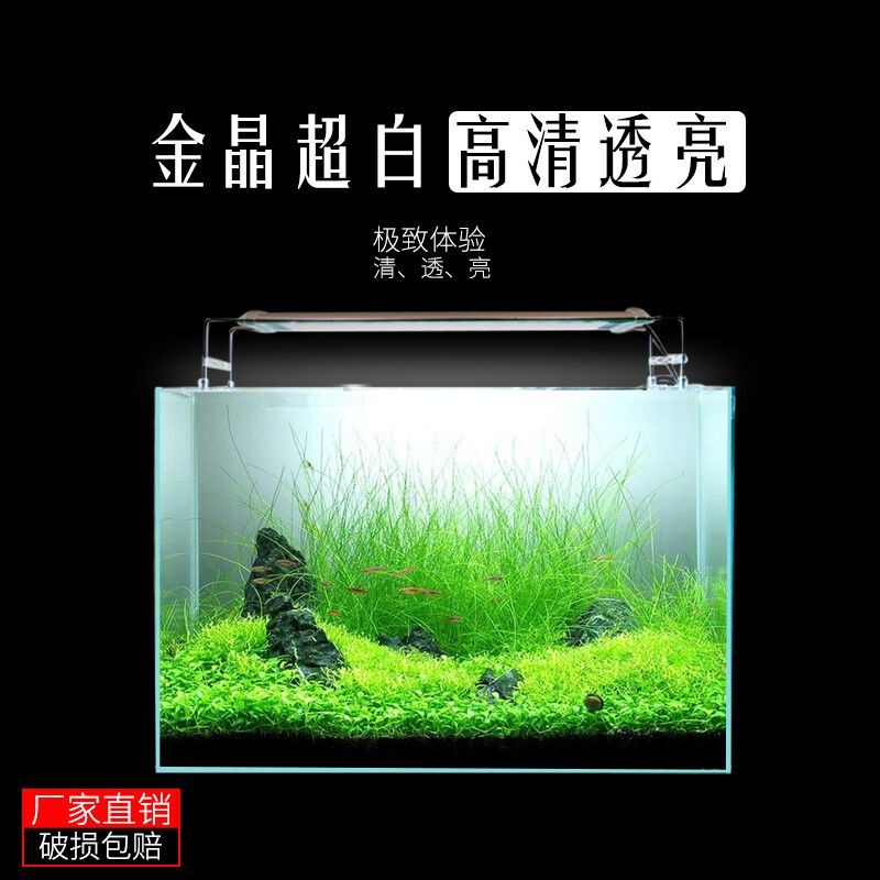 80長的魚缸尺寸：80長的魚缸尺寸是多少？