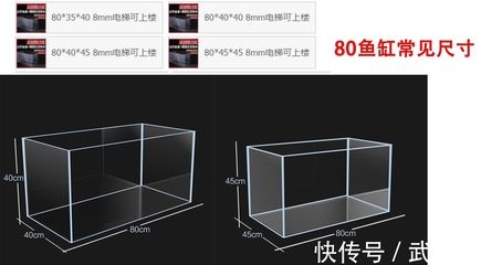 80長的魚缸尺寸：80長的魚缸尺寸是多少？
