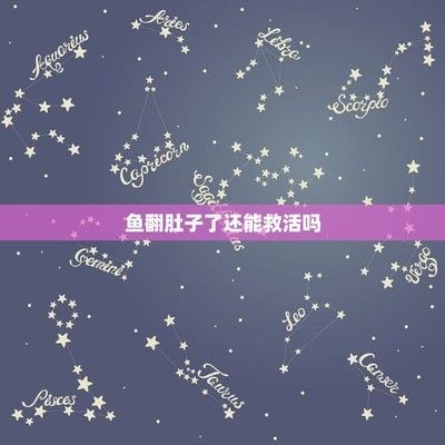 魟魚翻肚皮還能救嗎：魟魚翻肚皮還能搶救嗎