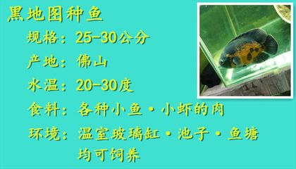 進(jìn)門(mén)掛什么畫(huà)最吉利最旺運(yùn)？這些風(fēng)水畫(huà)助你開(kāi)門(mén)迎好運(yùn)