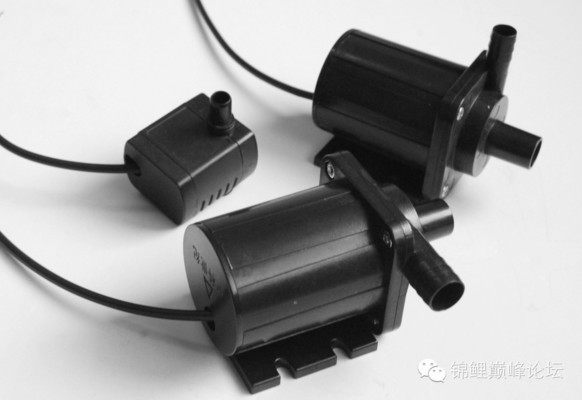 錦鯉頭像真的會帶來好運嗎？小心‘反噬’的潛在風險！