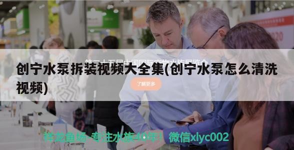 創(chuàng)寧水泵拆裝視頻大全集(創(chuàng)寧水泵怎么清洗視頻)