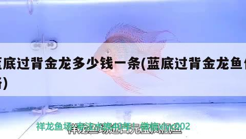 底過(guò)背金龍魚(yú)價(jià)格揭秘，一條究竟多少錢(qián)及影響因素