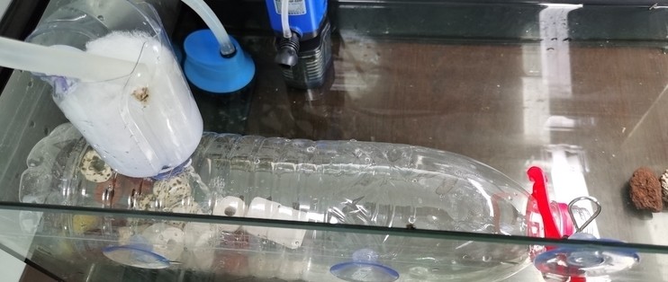 魚匠800w加溫棒日耗電量及正常