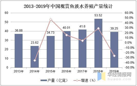 020年超火觀賞魚盤點，這些品種成養