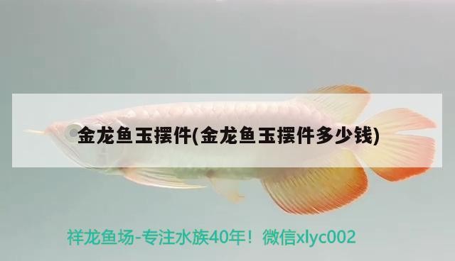 龍魚玉擺件價格探秘，品質、工藝與市場