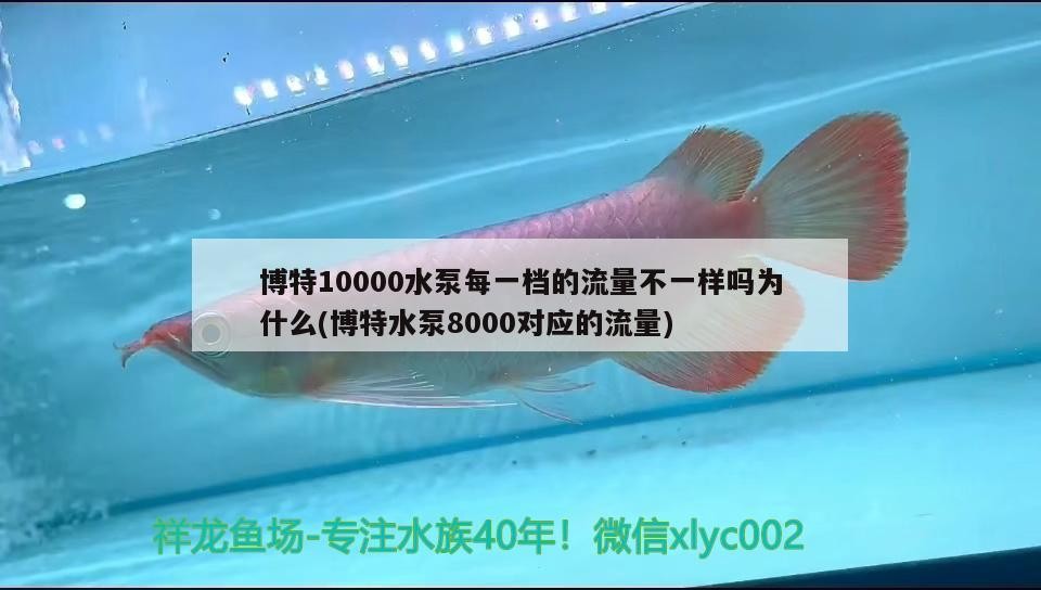 特10000水泵各檔流量差異原因探究及8000對應流量