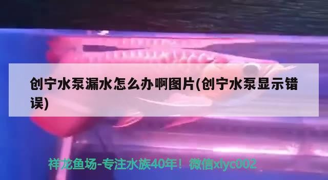 寧水泵漏水且顯示錯誤，圖片呈現問題，如何解決困擾？
