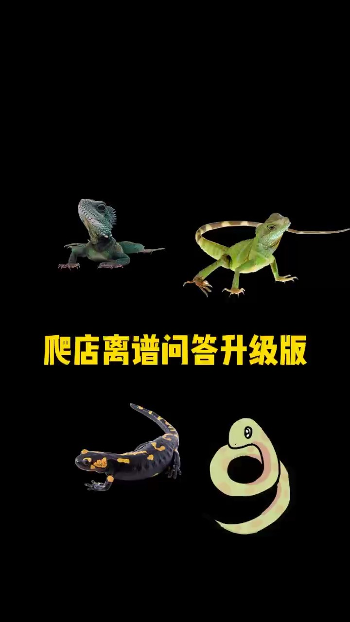 爬寵離譜問題大集合，升級版，挑戰(zhàn)你的寵物知識