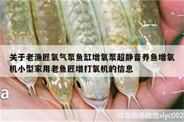 漁匠氧氣泵，超靜音小型家用魚(yú)缸增氧機(jī)，養(yǎng)魚(yú)
