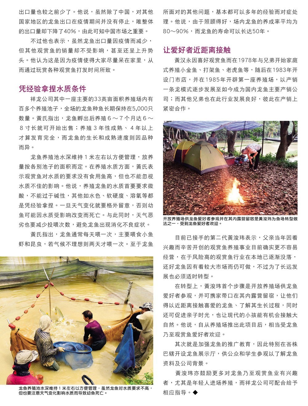 龍魚場創佳績,全球首獲CITES準證 觀賞魚百科 第4張 龍魚場創佳績,全球首獲CITES準證 龍魚場創佳績,全球首獲CITES準證 觀賞魚百科 第4張