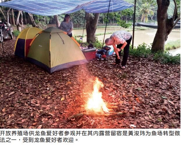 龍魚場創佳績,全球首獲CITES準證 觀賞魚百科 第9張 龍魚場創佳績,全球首獲CITES準證 龍魚場創佳績,全球首獲CITES準證 觀賞魚百科 第9張