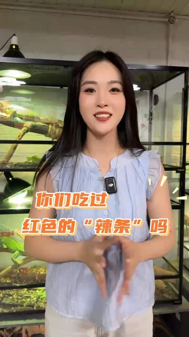 你們吃過紅色的辣條嗎？ 你們吃過紅色的辣條嗎？ 龍魚論壇