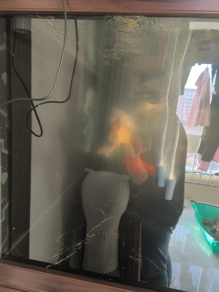 建議，大神們，請分享一下你們的寶貴意見