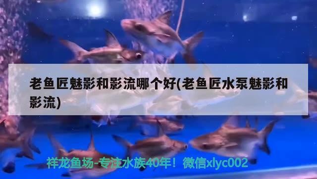 魚匠魅影與影流水泵對比，究竟哪個更勝