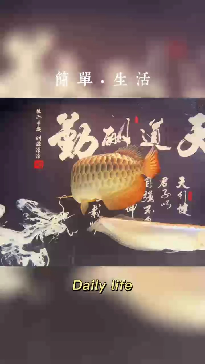 記錄今日，時光流轉，回首已過四年有余[deyi][deyi][deyi