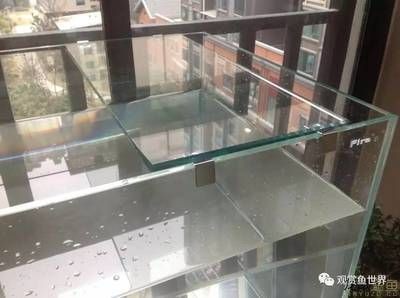 毫米玻璃魚缸承重多少斤？