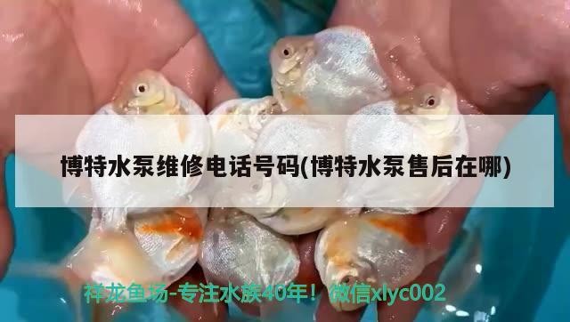 特水泵維修電話號碼及售后地址查詢，專業服務