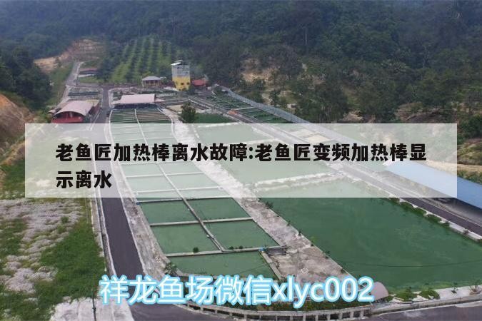 魚匠變頻加熱棒離水故障？