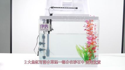 Y魚缸背景，貼紙成常見方式，打造個性化水下景觀新選擇