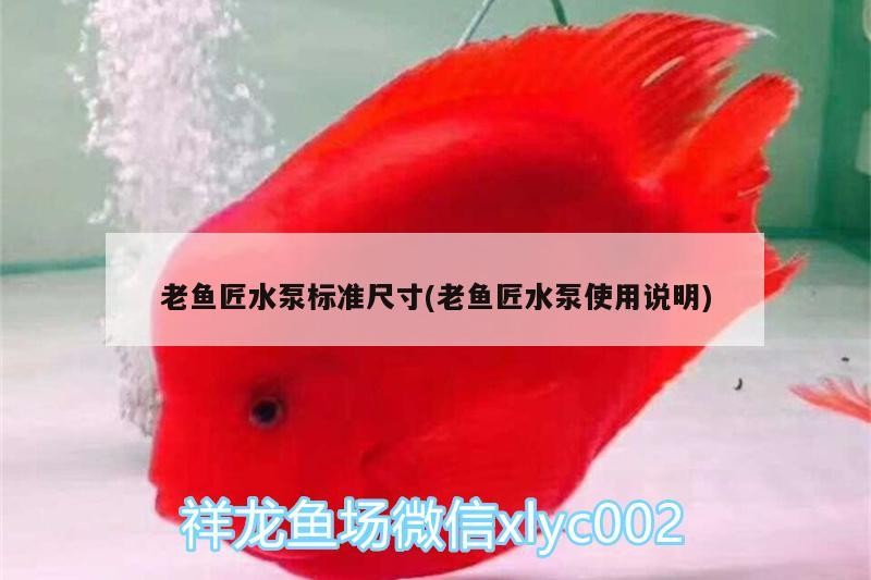 魚匠水泵標準尺寸及使用說明詳解，助你輕松掌握